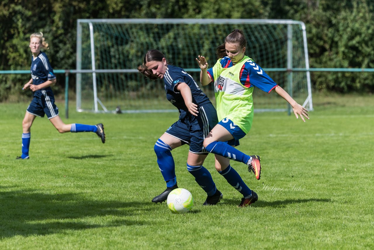 Bild 221 - B-Juniorinnen VfL Pinneberg - HSV : Ergebnis: 1:4